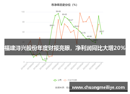 福建浔兴股份年度财报亮眼，净利润同比大增20%